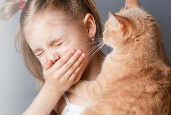 EVCİL HAYVAN ALERJİLERİ